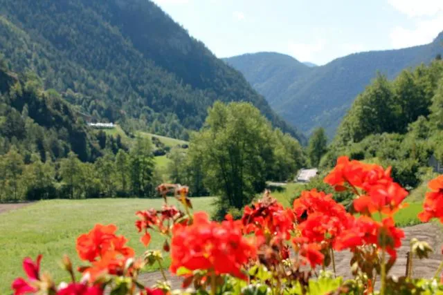  Apartaments Turístics Vilaró - picture  : Mountain view,Area and facilities,Property 