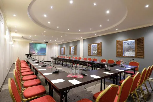  Ani Plaza Hotel - picture  : Meeting/conference room,Property 