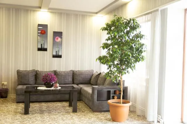  Hotel Felisa Gyumri - picture  : Seating area 