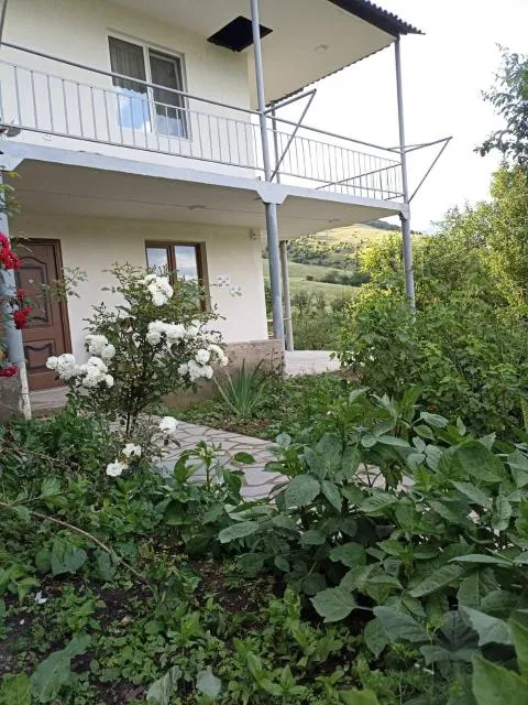  AMOJ B&B and Guest house - picture  : Property building 