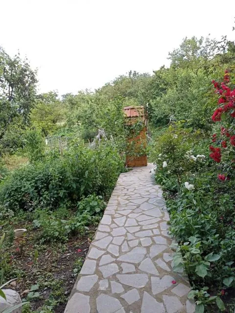  AMOJ B&B and Guest house - picture  : Garden 