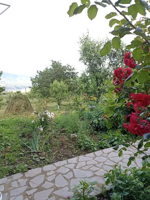  AMOJ B&B and Guest house - picture  : Garden 