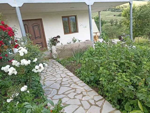  AMOJ B&B and Guest house - picture  : Garden,Property building 
