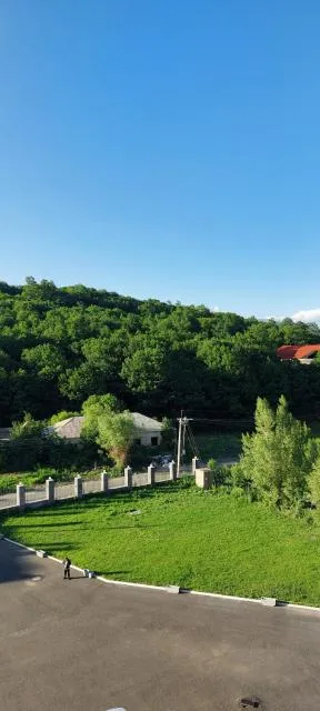  Via Tsaghkadzor - picture  : Day,Natural landscape,View (from property/room),Garden view,Landmark view,Mountain view,Property 