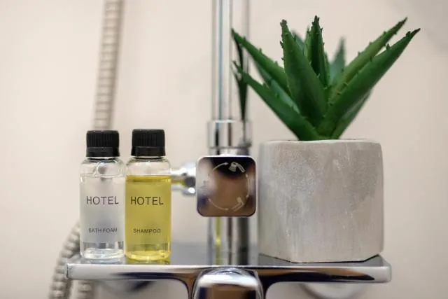  Aurora Hotel By Benefice - picture  : Bathroom,Property 