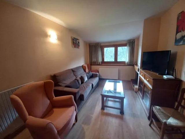  La Pleta de Soldeu-Vacances Pirinenca - picture  : Seating area,TV/entertainment centre,Living room,Property 