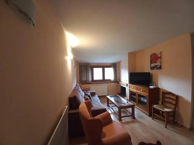  La Pleta de Soldeu-Vacances Pirinenca - picture  : Seating area,Living room,Property 