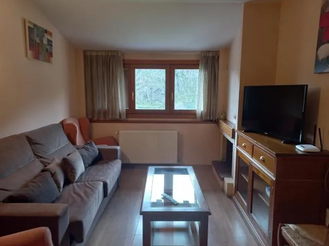  La Pleta de Soldeu-Vacances Pirinenca - picture  : Seating area,TV/entertainment centre,Living room,Property 