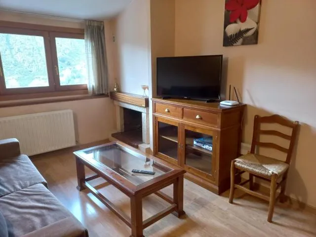  La Pleta de Soldeu-Vacances Pirinenca - picture  : Seating area,TV/entertainment centre,TV and multimedia,Living room,Property 
