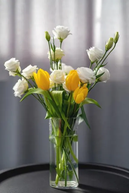  Aurora Hotel By Benefice - picture  : Living room,Property 