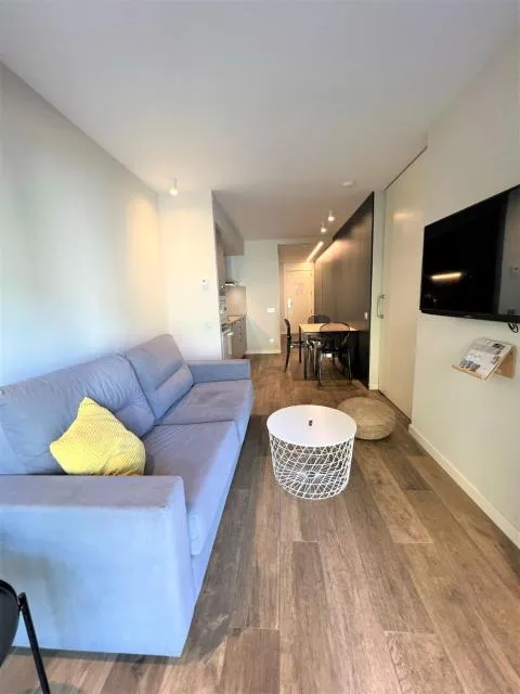  Apartaments Turístics Conseller - picture  : Seating area,TV/entertainment centre,TV and multimedia,Living room,Seating area,Dining area,Property 