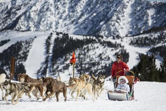  Apartaments Giberga - picture  : Shower,Ski School,Skiing,Animals,Property 