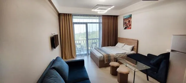  Via Tsaghkadzor - picture  : Seating area,Bed,TV and multimedia,Living room,Photo of the whole room,Seating area,Bedroom,hair dresser,air conditioner,Property,Room 