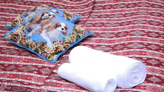  Pottery House - picture  : Bed 