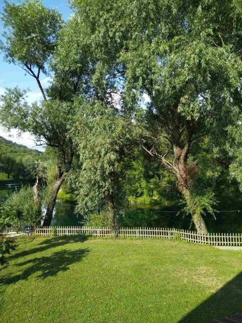  Kuca Delić - picture  : Garden,Natural landscape,Property 