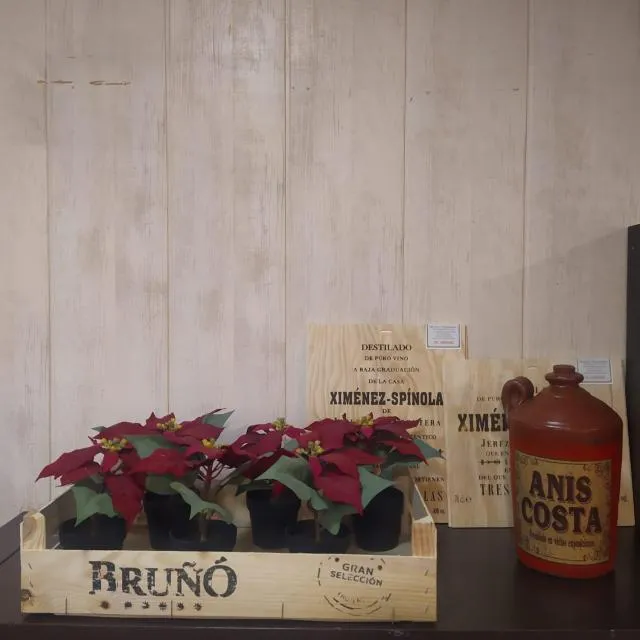  Hotel Comapedrosa - picture  : Breakfast,Property 