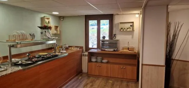  Hotel Comapedrosa - picture  : Kitchen/kitchenette,Buffet breakfast,Property 