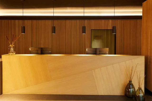  Park Piolets MountainHotel & Spa - picture  : Lobby or reception,Property 