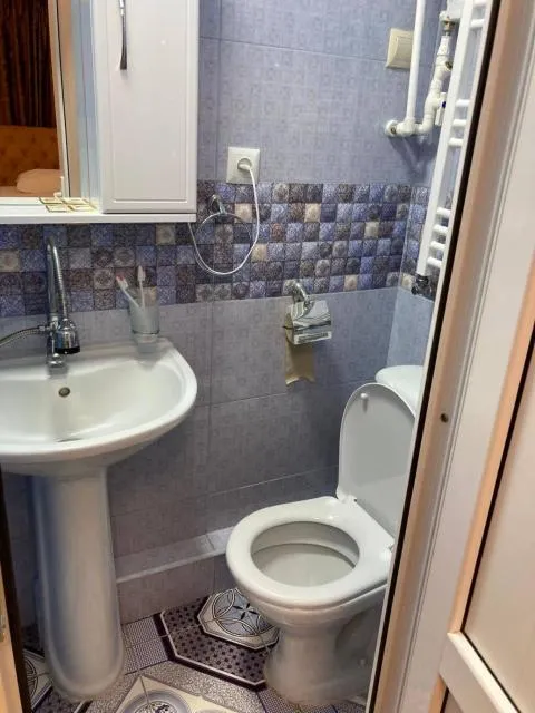  Hovasapyan's Family Guest House - picture  : Toilet,Bathroom,Bathroom,Property 