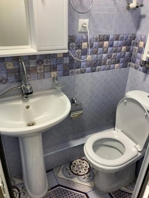  Hovasapyan's Family Guest House - picture  : Toilet,Bathroom,Bathroom,Property 