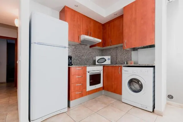  Apartamentos Tarter 3000 - picture  : Kitchen/kitchenette,Kitchen or kitchenette,minibar,pet friendly,washing machine,Property 