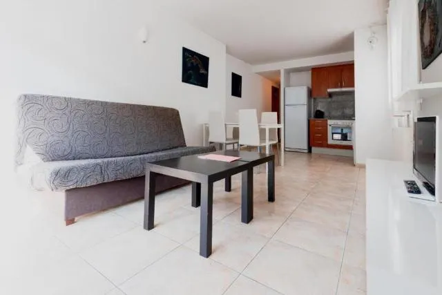  Apartamentos Tarter 3000 - picture  : Seating area,TV and multimedia,Kitchen or kitchenette,Living room,Dining area,Property 