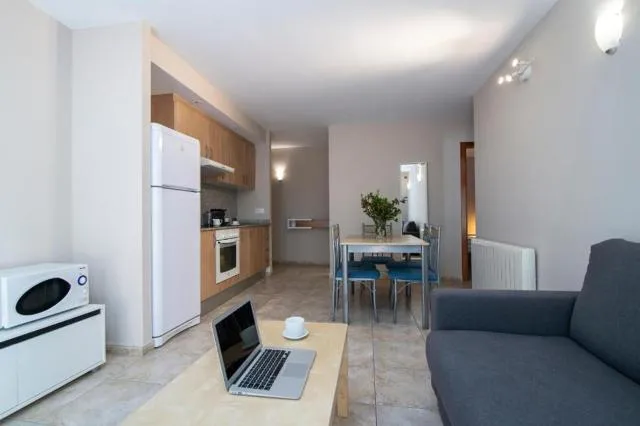  Apartamentos Tarter 3000 - picture  : Kitchen/kitchenette,Seating area,Dining area,TV and multimedia,Kitchen or kitchenette,Living room,Seating area,Dining area,pet friendly,Property 