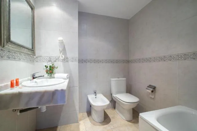  Apartamentos Tarter 3000 - picture  : Toilet,Bathroom,Bathroom,bidet,Property 
