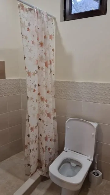  Deghceni club - picture  : Bathroom 