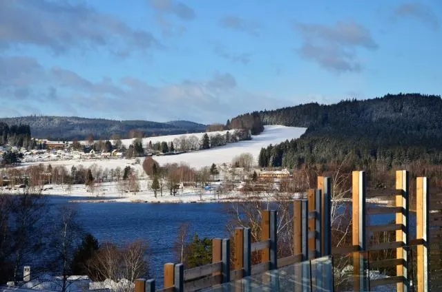  JBX Resort Apartments Lipno - picture  : Lake view,Property 