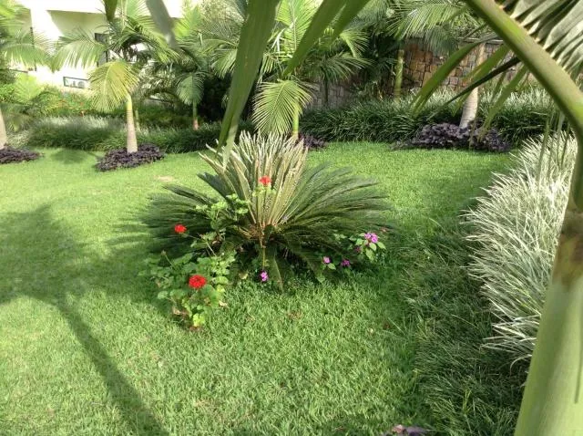  Gorillas Golf Hotel - photo  : Jardin,Jardin,Propriété 