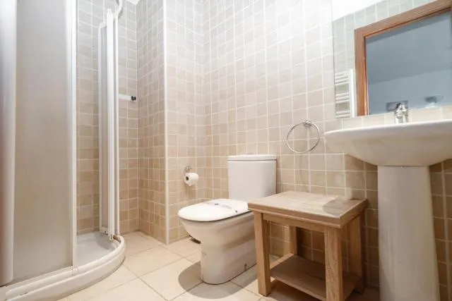  Apartamentos Araco 3000 - picture  : Shower,Bathroom,Bathroom,Property 