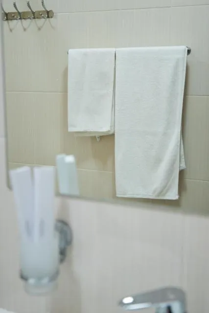  Inga Hotel Yerevan - picture  : Bathroom,Bathroom,towels,Property 