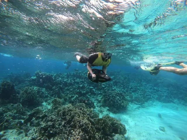  Aruba Savaneta Luxury Apartments - picture  : Snorkeling/diving,Snorkeling,Property 