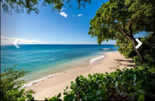  Nutmeg at Merlin Bay - picture  : Beach,Other 