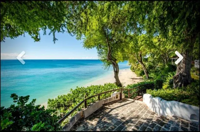  Nutmeg at Merlin Bay - picture  : Other 