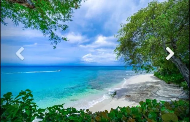  Nutmeg at Merlin Bay - picture  : Beach,Other 