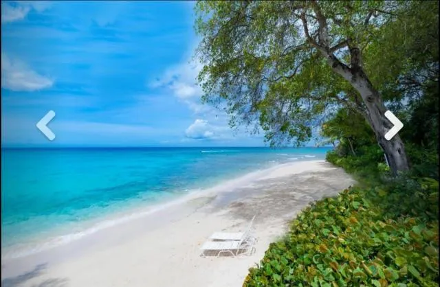  Nutmeg at Merlin Bay - picture  : Beach,Other 