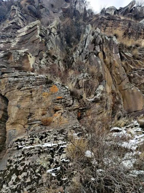  Zove Rural Cottage with garden views - picture  : Natural landscape,Natural landscape,Property 