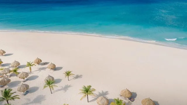  Manchebo Beach Resort and Spa - picture  : Bird's eye view,Beach,Beach,Property 