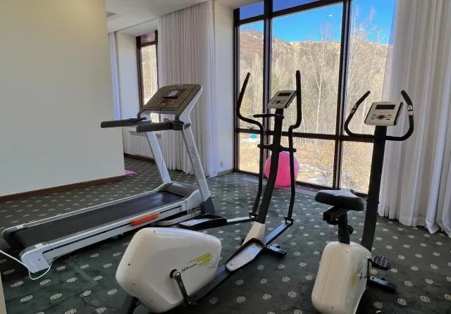  Armenia Hotel - picture  : Fitness centre/facilities,Fitness centre/facilities,Property 