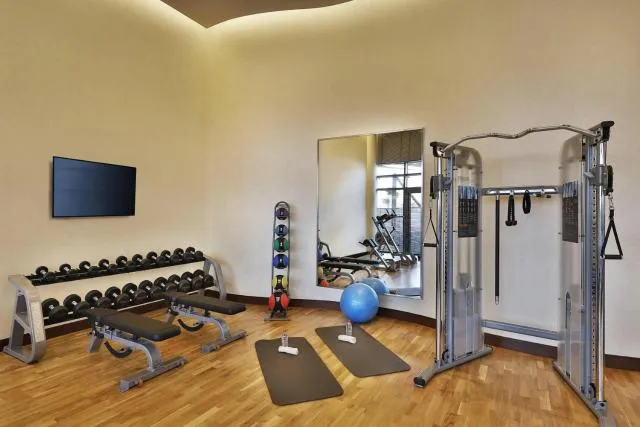  Marriott Hotel Al Forsan, Abu Dhabi - picture  : Fitness centre/facilities,Fitness centre/facilities,Property 