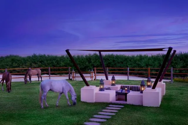  Al Wathba, a Luxury Collection Desert Resort & Spa, Abu Dhabi - picture  : Property building,Property 