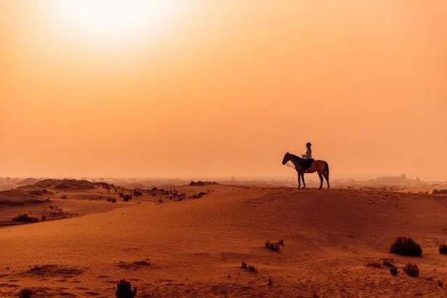  Al Wathba, a Luxury Collection Desert Resort & Spa, Abu Dhabi - picture  : Other 