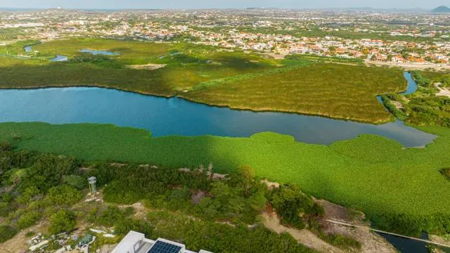  Villa5 - Peace of Heaven Villa in Aruba - picture  : Property building,Bird's eye view,Property 