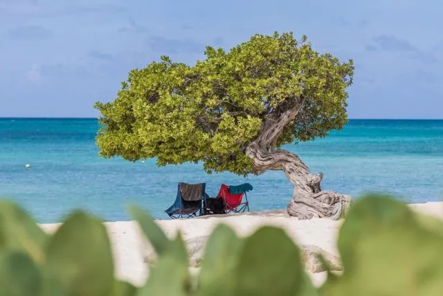  Villa5 - Peace of Heaven Villa in Aruba - picture  : Property building,Natural landscape,Beach,Sea view,Property 