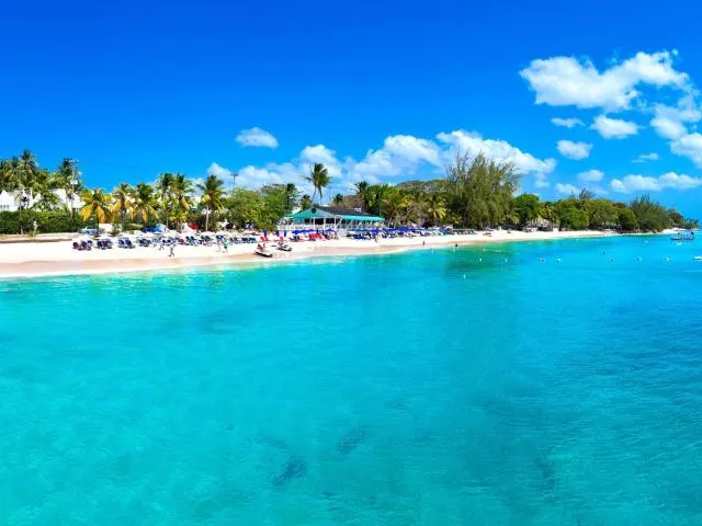  Royal Apartment at Westmoreland - picture  : Beach,Area and facilities,Property 