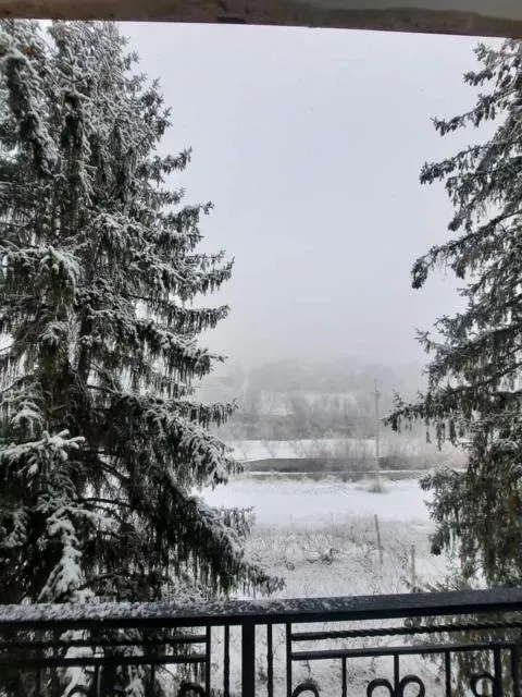  Anna Home B&B - picture  : Shower 