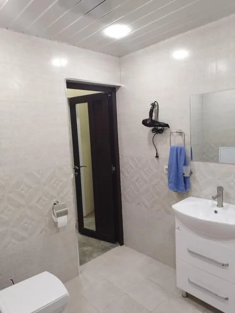  Однокомнатная квартира в центре Ванадзора - picture  : Bathroom 
