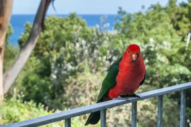  At Riverside - picture  : Other animals 